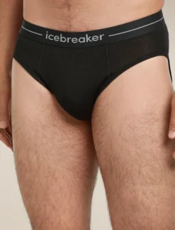 150 Anatomica Briefs