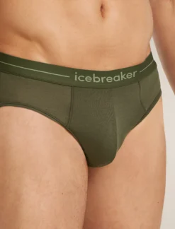150 Anatomica Briefs
