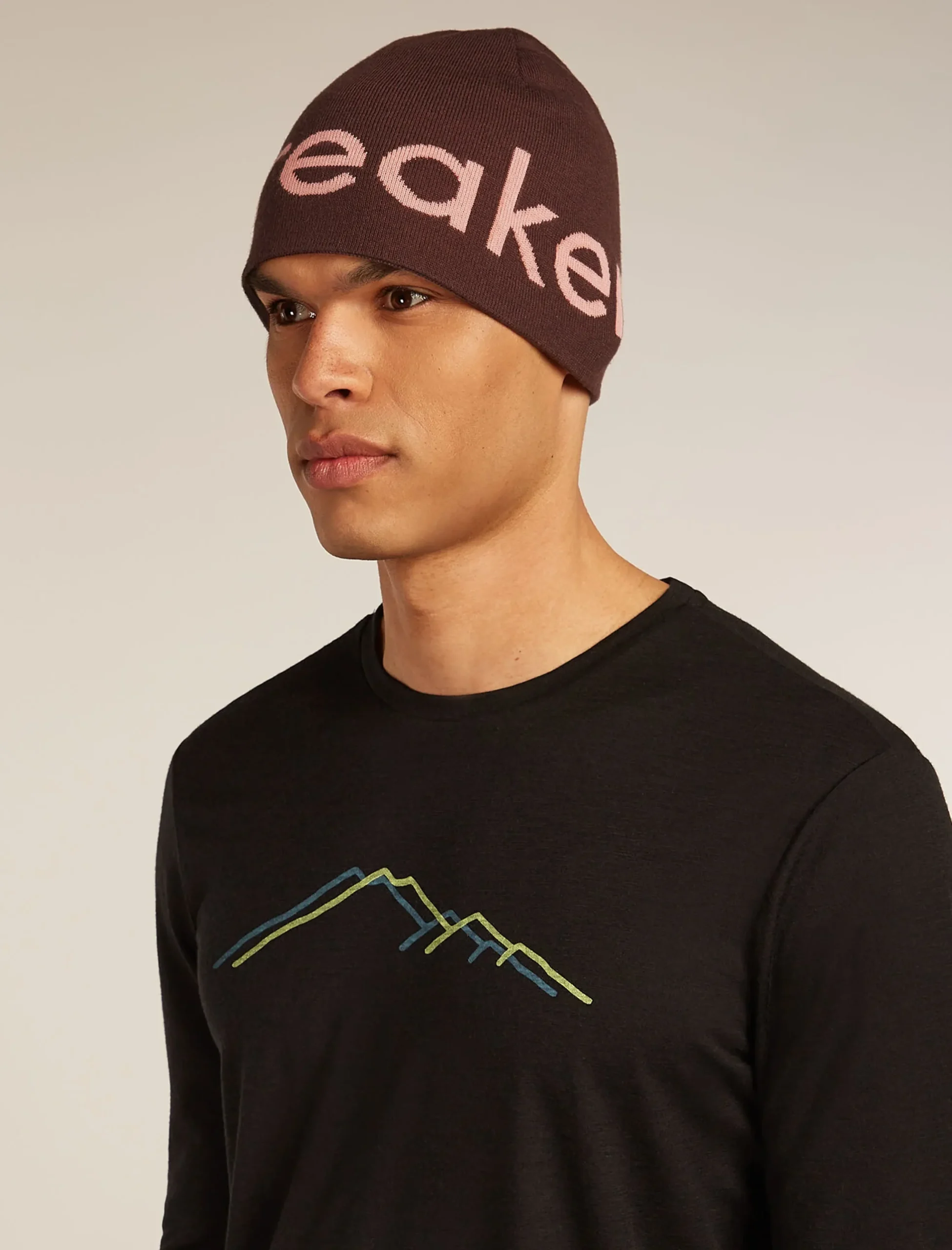 icebreaker Beanie